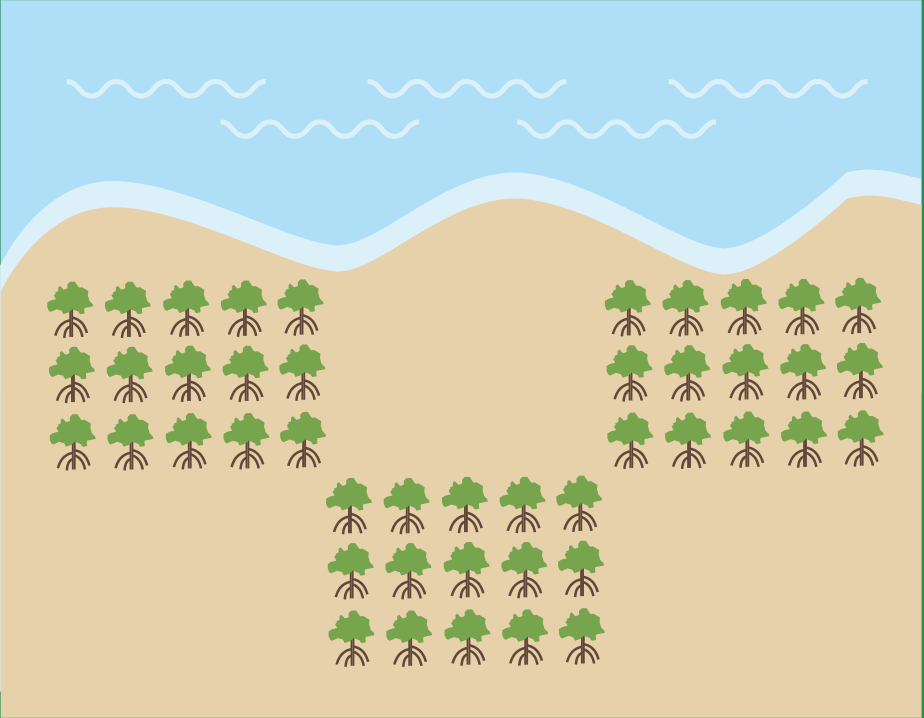 Pola Tanam Rumpun Berjarak